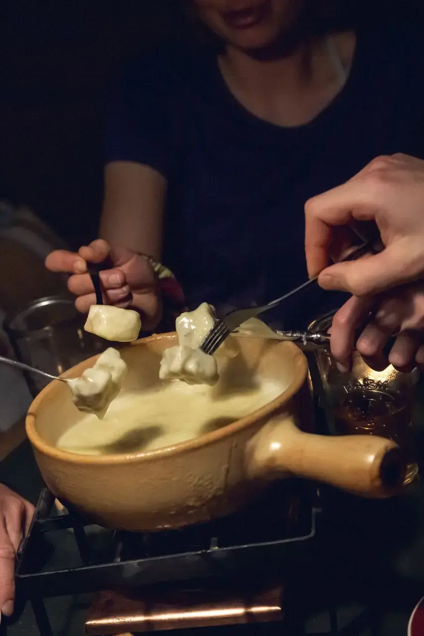 Penguin Lifestyle Family Fondue