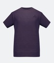 Männer Merino Stretch T-Shirt 145g